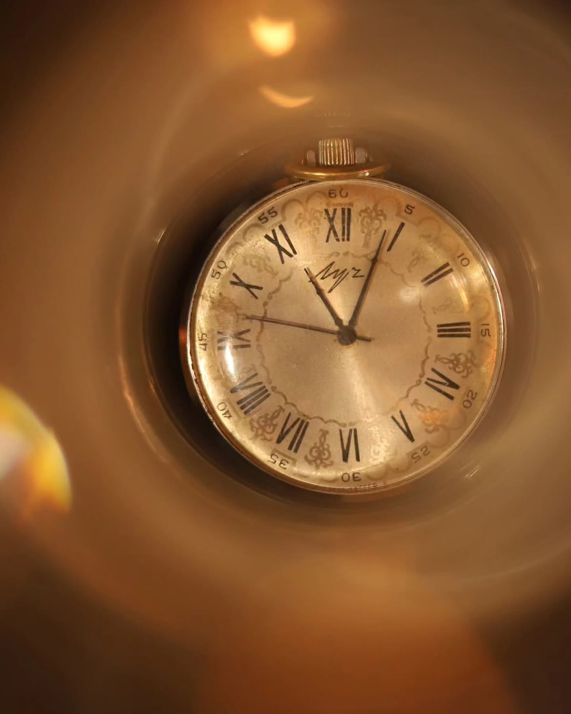 Macro detail