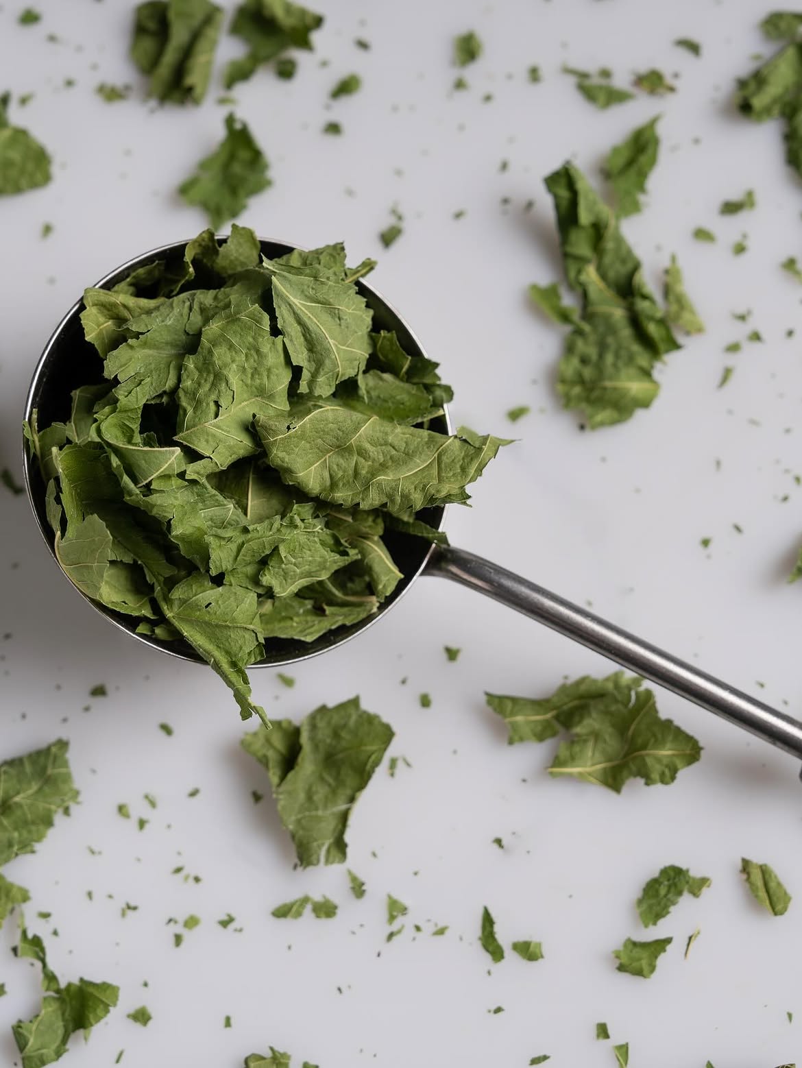 Dried herb, top-down
